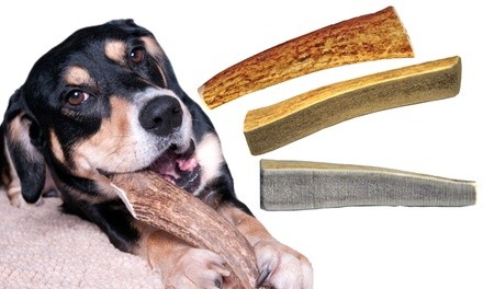 Elk Antler Dog Chew Treat