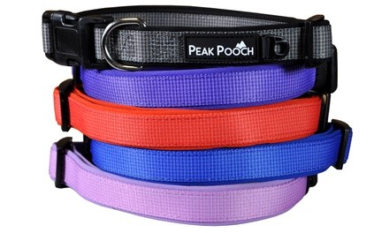 Soft-Padded Adjustable Dog Collar