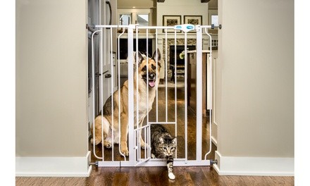 Extra Tall Walk-Through Gate with Small Pet Door