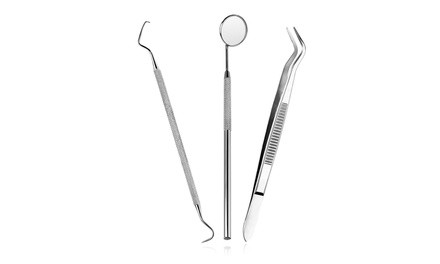 Stainless Steel Dental Hygiene Kit (3-Piece)