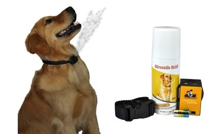 Citronella Spray Anti-Bark Collar for Dogs