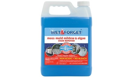 Wet & Forget Outdoor Concentrate (96 Oz.; Makes 4.5 Gal.)