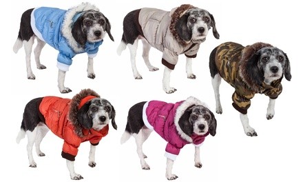 Insulated Dog Coat with Removable Hood