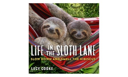 Life in the Sloth Lane: Slow down and Smell the Hibiscus