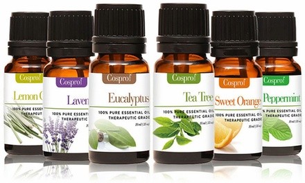 6 Bottle Aromatherapy 100% Pure Essential-Oils