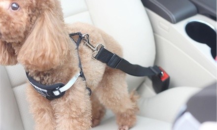 Dog or Cat Vehicle Seat Belt (2-Pack)