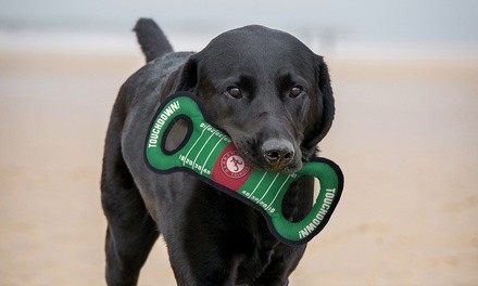 Pets First NCAA Field Tug Toy