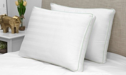 BioPEDIC Plush Fiber Gusseted Bed Pillows (2- or 4-Pack)