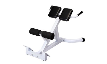 Extension Hyperextension Back Abdominal Exercise Roman Chair