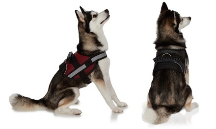 Ez-Pet Adjustable No-Pull Harness Vest