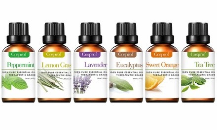 100% Pure Therapeutic-Grade Aromatherapy Essential Oil Set (6 x 10ml)