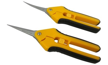 Cushion Grip Precision Snip Pruners with Straight Stainless Steel Blade (1- or 2-Pack)