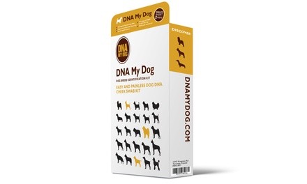 DNA My Dog Breed ID Test Kit