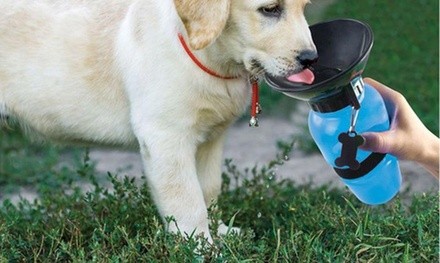 2-in-1 Pet Water Bottle and Bowl 