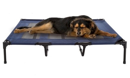 Petmaker Elevated Pet Bed Portable Raised Cot-Style Bed 