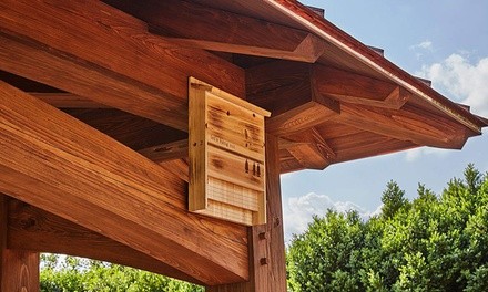 Stylish Wooden Bat House