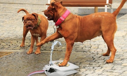 iMounTEK Dog Water Fountain