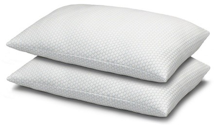 Exquisite Hotel Cool N' Comfort Gel Fiber Pillow (2-Pack)