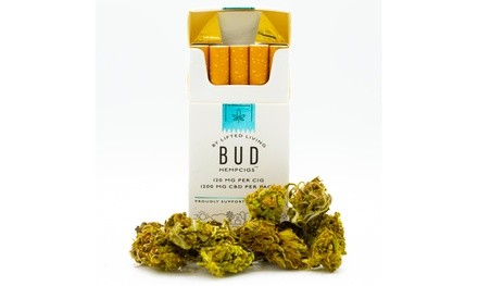 Lifted Living Bud HempCigs - 1200mg - Menthol - Pack of 10