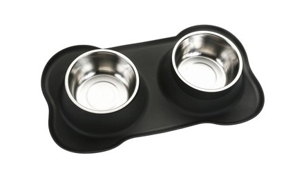 Stainless Steel Dog Bowl and No Spill No Slip Silicone Mat