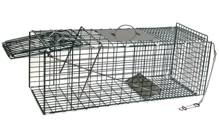 Live Animal Trap Small 24