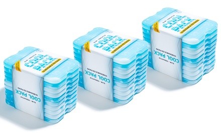 Quick Freeze BPA-Free Ice Packs (10-Pack)