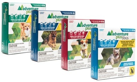 Adventure Plus Flea Protection for Dogs (4-Pack)