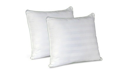 Biopedic Euro Square Pillows with Sateen Stripe (2-Pack)