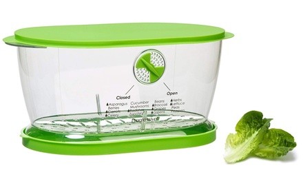 PrepWorks Stay-Fresh Lettuce Keeper (1-, or 2-Pack)