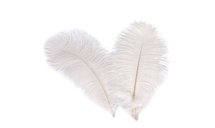 10pcs Ostrich Feathers 12-14inch(30-35cm) for Home Wedding Decoration