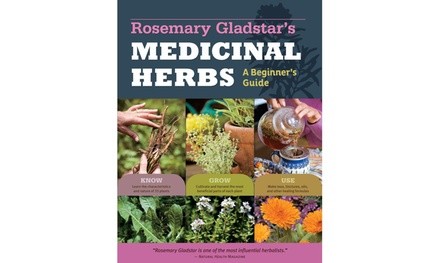 Medicinal Herbs: A Beginner