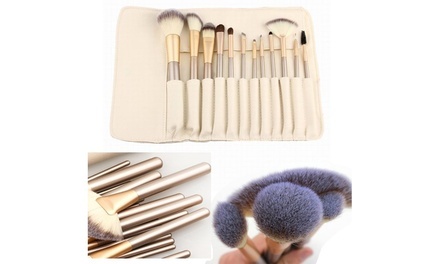 Professional Makeup Brush Collection with Storage Case (13-Piece)