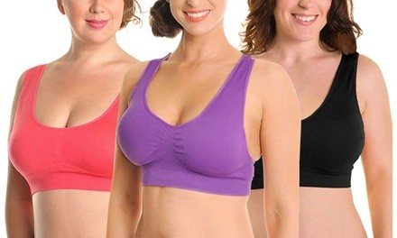 Angelina Wire-Free Seamless Bras in Regular and Plus Sizes (6-Pack)