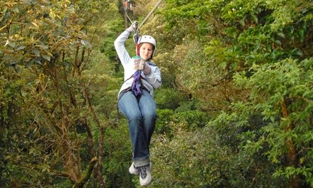 Blue Heron Express Pass for One or Two at Blue Heron Adventure at Whitewater Express (Up to 46% Off)