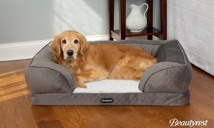 Beautyrest Supreme Comfort Couch Dog Bed