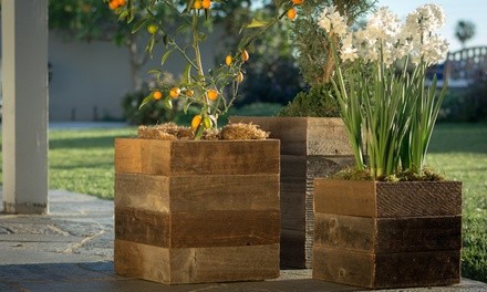 Pacific Royal Reclaimed Wood Square Planter Boxes