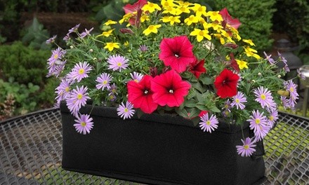 Flower Seed Planter Box Kit (1-, 2-, or 3-Pack with Shovel)