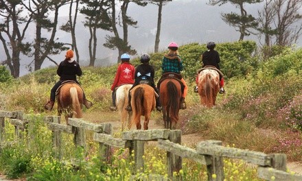 $65 for 90-Minute Trail and Beach Horseback Ride from Sea Horse Ranch ($90 Value)