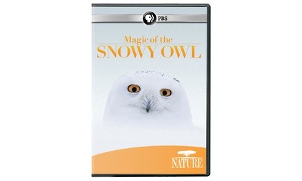 NATURE: Magic of the Snowy Owl DVD