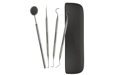 Stainless Steel Dental Tool Set (4-Piece)
