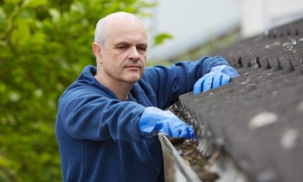 $104.51 for Gutter Cleaning for a Two-Story Home, Up to 100 Linear Feet at TinyJobz ($150 Value)