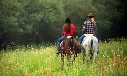 One- or Two-Hour Horseback Trail Ride for One or Two with Dinner at Calico Junction Mule Ranch (Up to 54% Off)