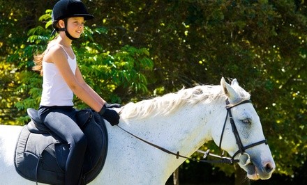 Up to 45% Off on Horse Back Riding - Recreational at Four Star Ranch