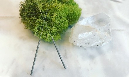 Up to 41% Off on Acupuncture Services at Willow + Elm Wellness