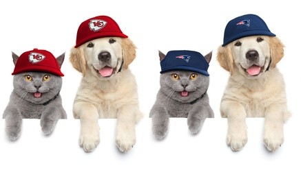 Little Earth Productions NFL AFC Pet Baseball Hat