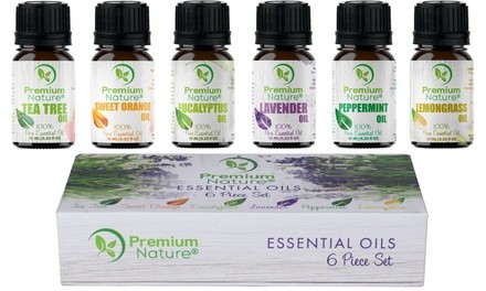 Premium Nature Pure Natural Essential Oil Gift Set (6-Piece)