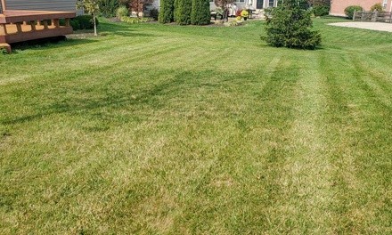 Up to 37% Off on Lawn Mowing Service at Loyalty Lawn Care & Landscaping LLC