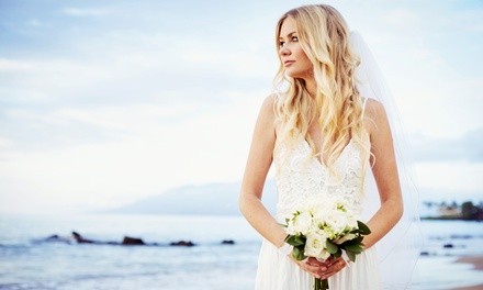 Up to 52% Off on Salon - Hair Color / Highlights at The curly hair specialist LLC. (Revive by Patrice)