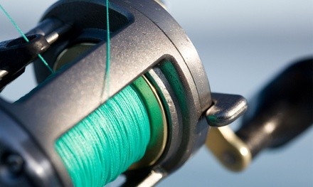 Fly- and Spin-Fishing Packages from Gone Fishing Colorado (Up to 50% Off). Four Options Available.