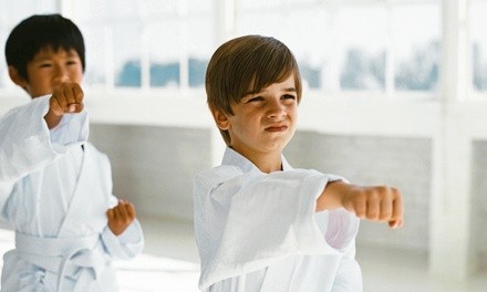 10 Classes or 1 Unlimited Month of Tae Kwon Do with a Uniform at Metro Karate Academy (Up to 71% Off)